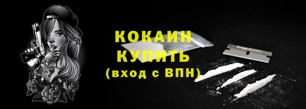 гидра Костерёво