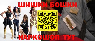 мдпв Новодвинск