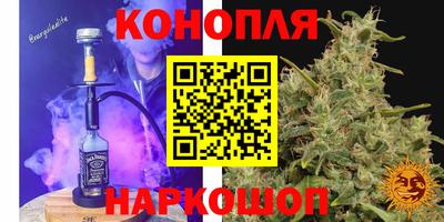 мдпв Новодвинск